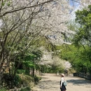 宁波旅游 缩略图 2