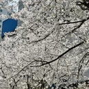 宁波旅游 缩略图 2