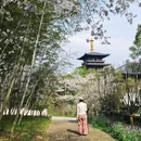 宁波旅游 缩略图 3