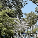 宁波旅游 缩略图 3