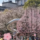 宁波旅游 缩略图 11