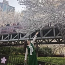 宁波旅游 缩略图 2