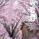 宁波旅游 缩略图 6