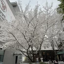 宁波旅游 缩略图 1