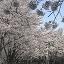 宁波旅游 缩略图 7