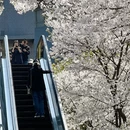 宁波旅游 缩略图 8