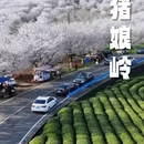 宁波旅游 缩略图 7