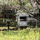 宁波旅游 缩略图 4