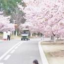 宁波旅游 缩略图 8
