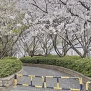 宁波旅游 缩略图 4