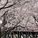 宁波旅游 缩略图 7