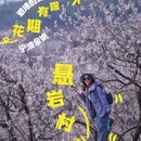 宁波旅游 缩略图 1