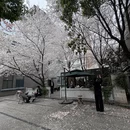 宁波旅游 缩略图 2