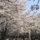 宁波旅游 缩略图 8