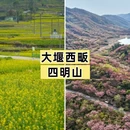 宁波旅游 缩略图 8