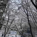 宁波旅游 缩略图 3