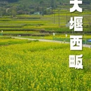 宁波旅游 缩略图 9