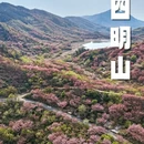 宁波旅游 缩略图 10
