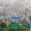 宁波旅游 缩略图 15