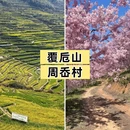 宁波旅游 缩略图 11
