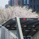 宁波旅游 缩略图 18