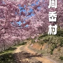 宁波旅游 缩略图 13