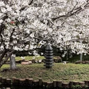 宁波旅游 缩略图 2