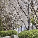 宁波旅游 缩略图 7