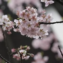 宁波旅游 缩略图 2