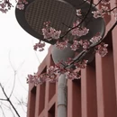 宁波旅游 缩略图 3