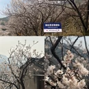 宁波旅游 缩略图 4