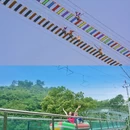 宁波旅游 缩略图 5