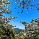 宁波旅游 缩略图 4