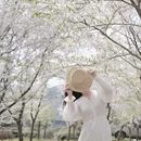 宁波旅游 缩略图 6