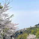 宁波旅游 缩略图 6