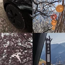 宁波旅游 缩略图 1