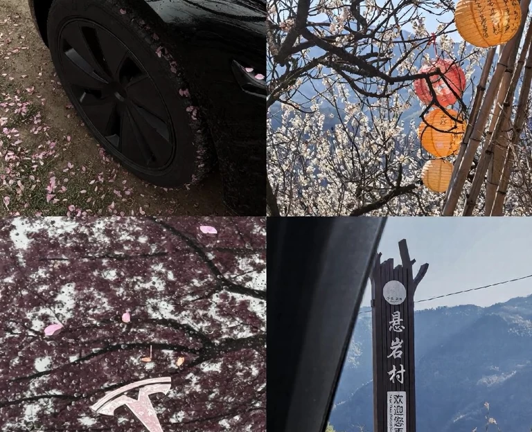 宁波旅游 1