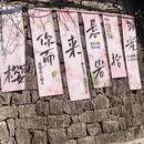 宁波旅游 缩略图 2