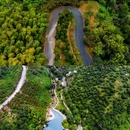 宁波旅游 缩略图 7