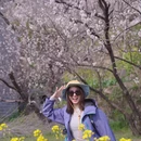 宁波旅游 缩略图 6