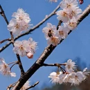 宁波旅游 缩略图 7