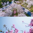 宁波旅游 缩略图 8