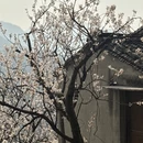宁波旅游 缩略图 9