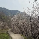 宁波旅游 缩略图 10