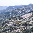 宁波旅游 缩略图 1