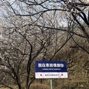 宁波旅游 缩略图 11