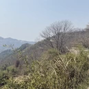 宁波旅游 缩略图 18