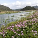 宁波旅游 缩略图 10