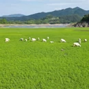 宁波旅游 缩略图 1