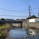 宁波旅游 缩略图 8
